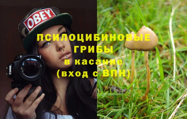 каннабис Осташков