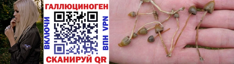 Галлюциногенные грибы GOLDEN TEACHER  купить   ОМГ ОМГ рабочий сайт  Ясный 